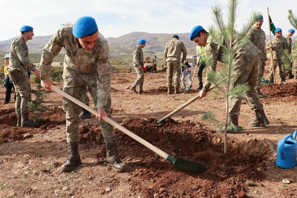 Bingöl'de Mehmetçik Hatıra Ormanı Oluşturuldu