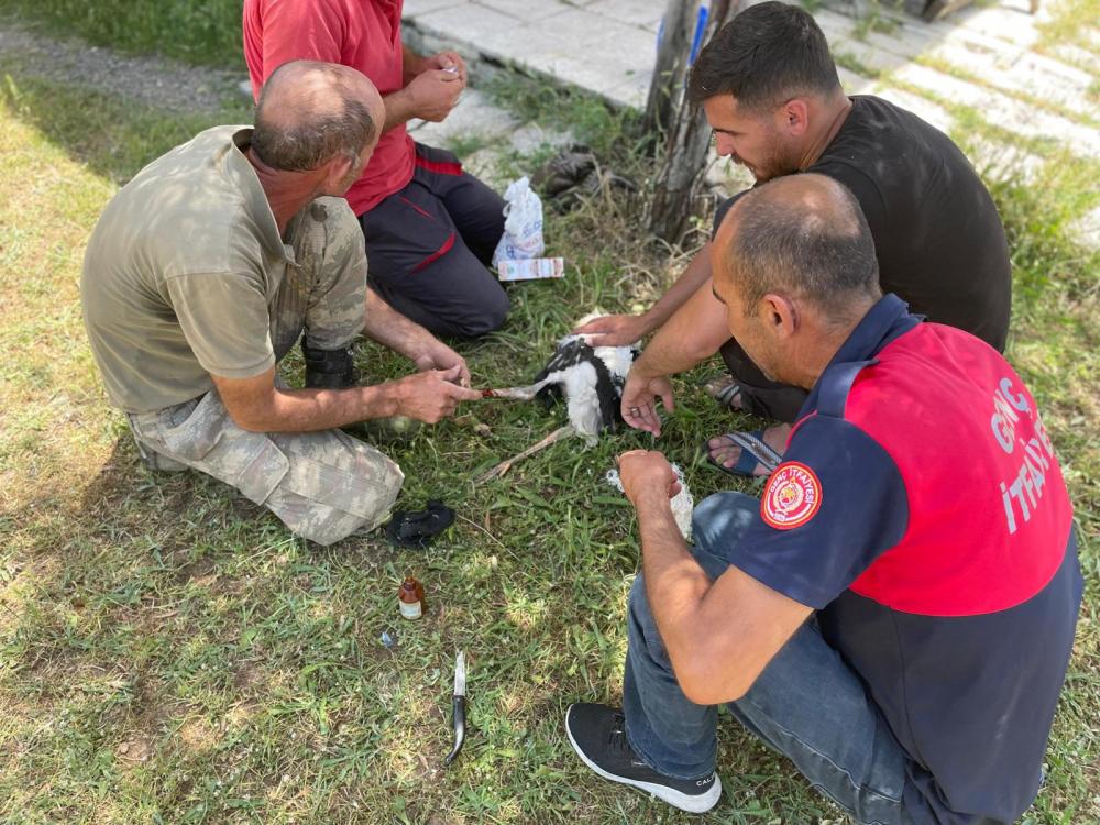 BİNGÖL’DE İTFAİYEDEN YAVRU LEYLEKLERE KURTARMA OPERASYONU