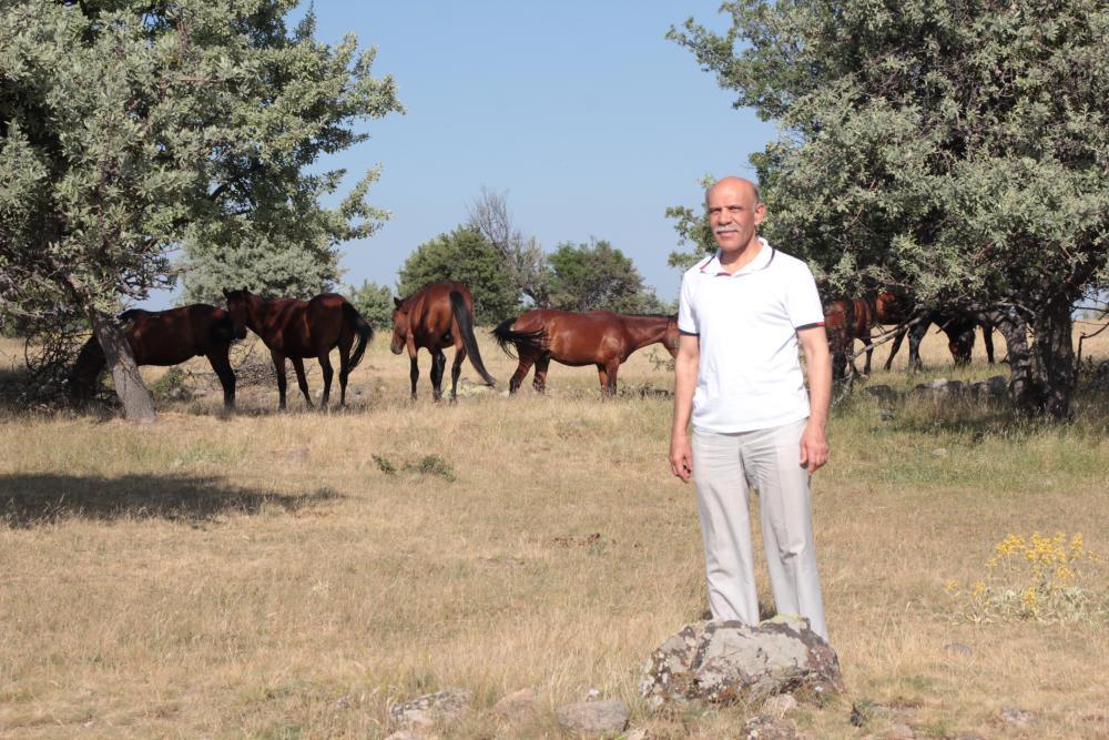 DP BEYPAZARI İLÇE BAŞKANI ATAK’TAN YILKI ATLARININ KORUNMASI İÇİN ÇAĞRI