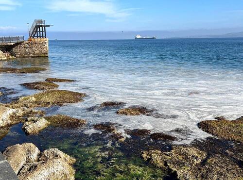 MARMARA’DA MÜSİLAJ KABUSU: GELİBOLULU BALIKÇILAR KAYGILI