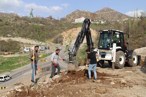 ÇUKURCA YEŞİLLENİYOR: BELEDİYE FİDANLARLA GELECEĞE NEFES OLUYOR