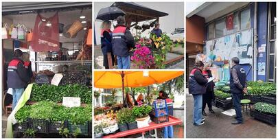 RİZE TARIM VE ORMAN MÜDÜRLÜĞÜ'NDEN KONTROLSÜZ FİDE VE FİDAN SATIŞINA KARŞI UYARI