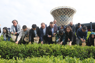RİZE’DE ULUSLARARASI ÇAY GÜNÜ’ ETKİLİKLERİ YAPILDI