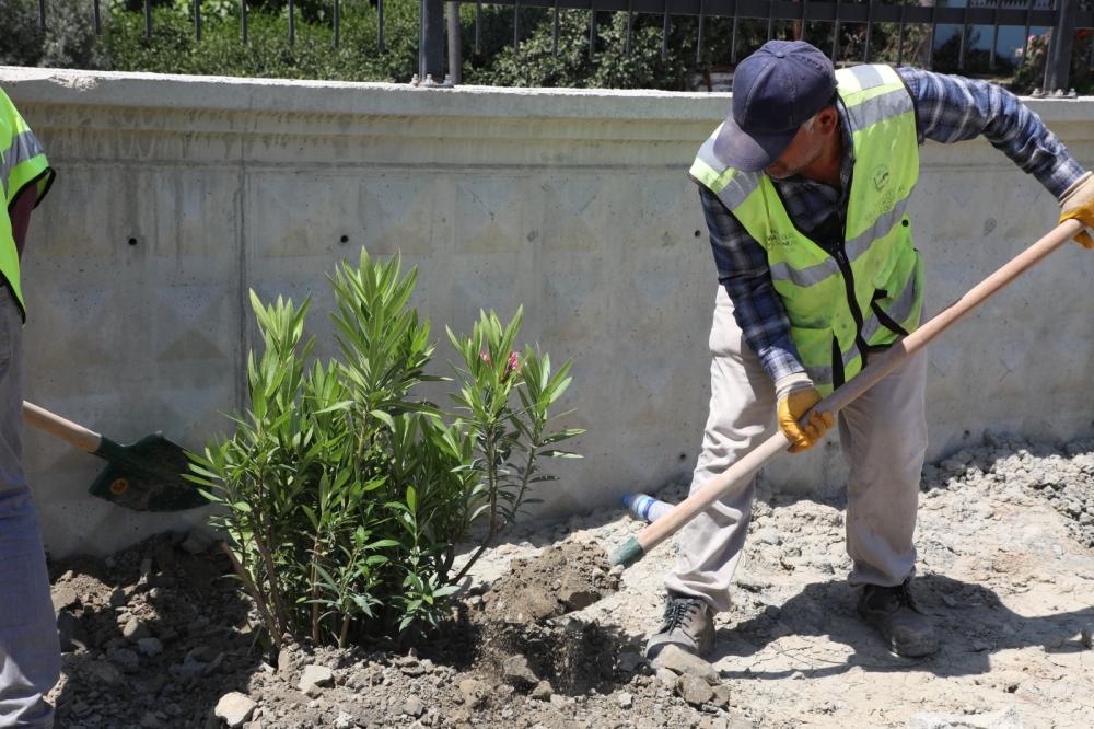 HBB, HATAY’I YEŞİLİN HER TONUYLA BULUŞTURUYOR