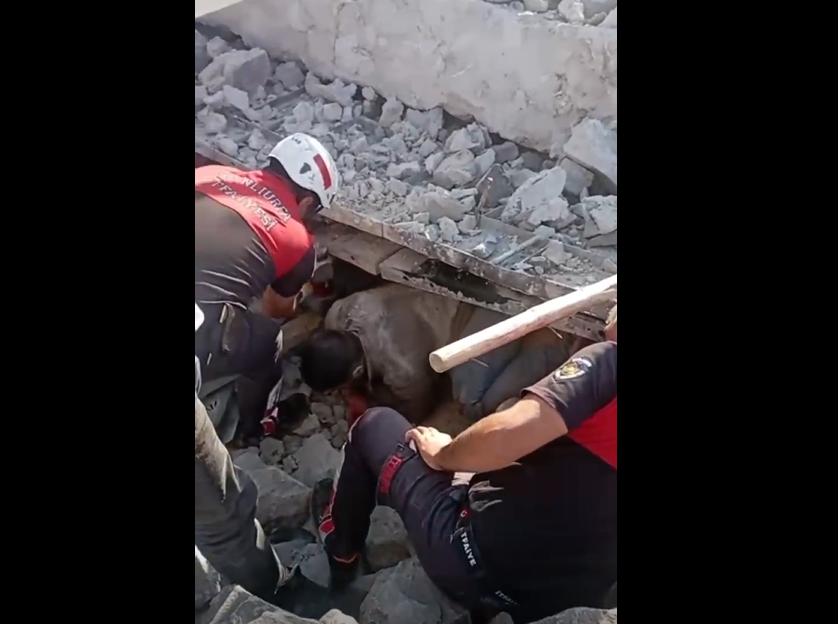 ŞANLIURFA\'DA GÖÇÜK FACİASI! 4 KİŞİ KURTARILDI