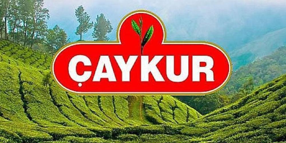 ÇAYKUR, İKİNCİ SÜRGÜN ÇAY ALIMLARINDA HIZ KESMİYOR: 6 GÜNDE 15 BİN TON
