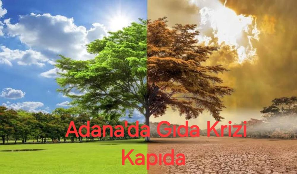 ADANA’DA GIDA KRİZİ ALARMI: KURAKLIK VE DON TARIMI VURDU, FİYATLAR TIRMANIYOR