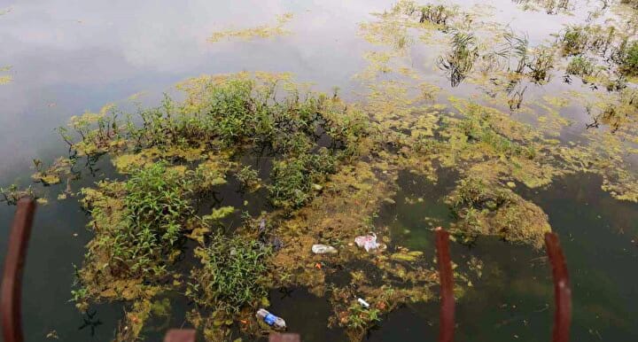 SEYHAN NEHRİ ALARM VERİYOR: YOSUN AKINI VE ÇÖP İSTİLASI ADANA’YI TEHDİT EDİYOR