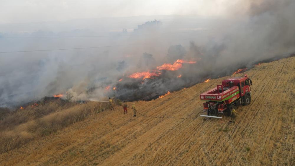 64 BİN 500 HEKTAR ORMANIMIZ YANDI